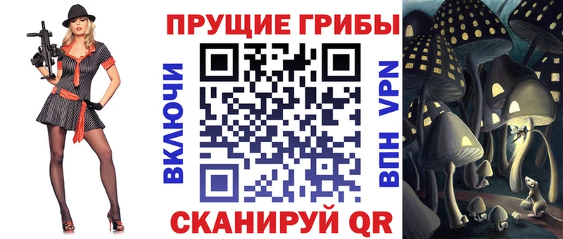blacksprut зеркало  купить   Чердынь  Галлюциногенные грибы Psilocybe 